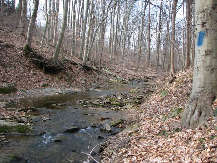 Field photo showing stream conditions at site ATKI-110-R-2008-1