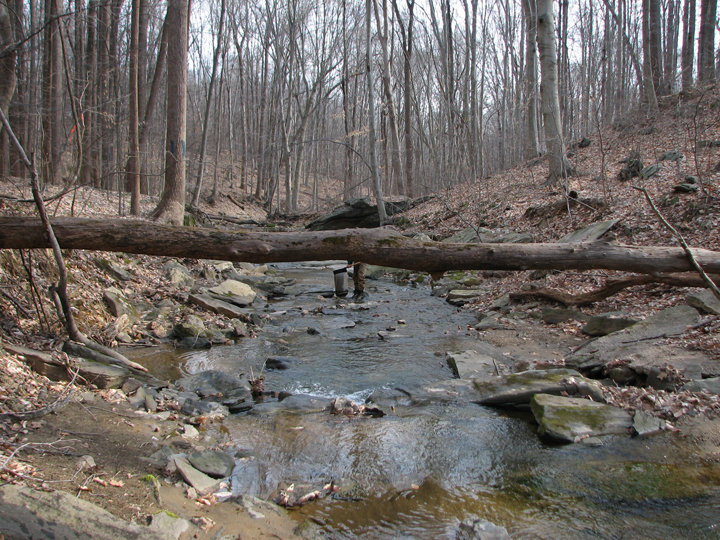 Field photo showing stream conditions at site ATKI-110-R-2008-2