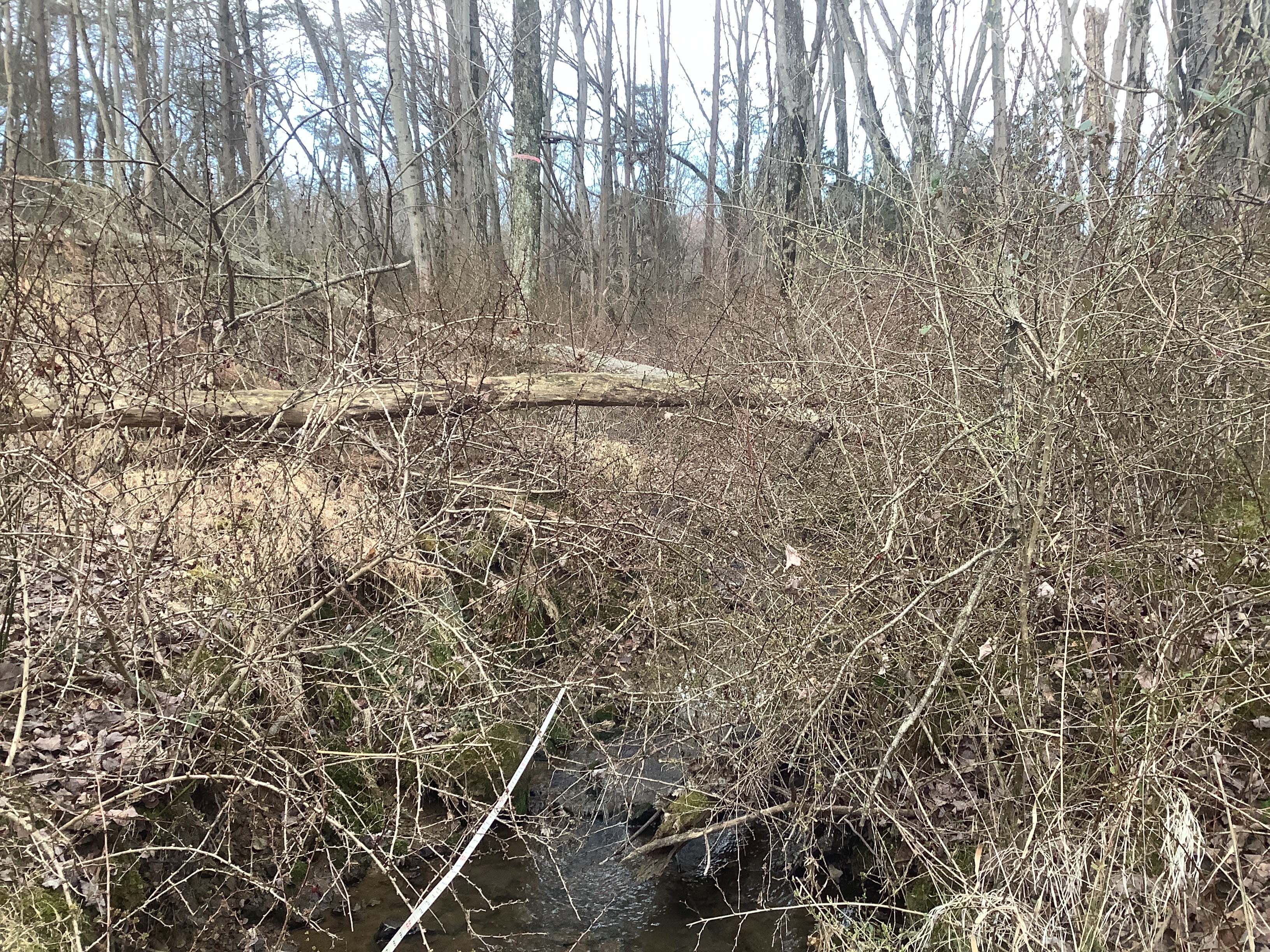 Field photo showing stream conditions at site ATKI-121-R-2023_Midpoint_facing_upstream