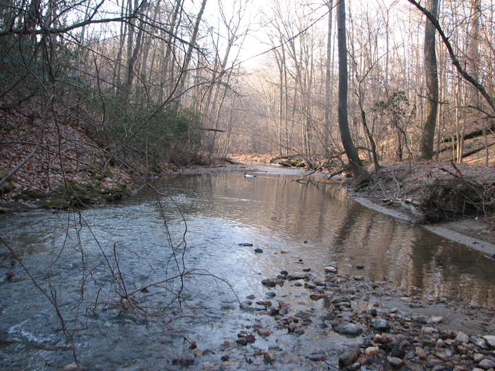 Field photo showing stream conditions at site ATKI-204-B-2008-1