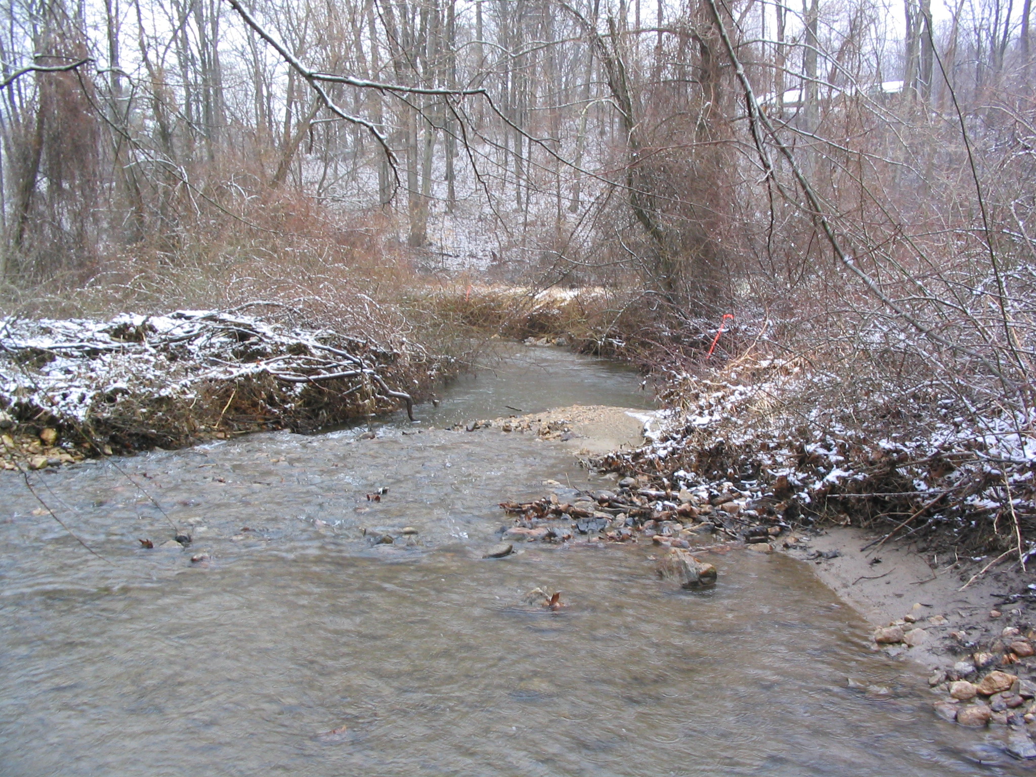 Field photo showing stream conditions at site ATKI-217-R-2004-5