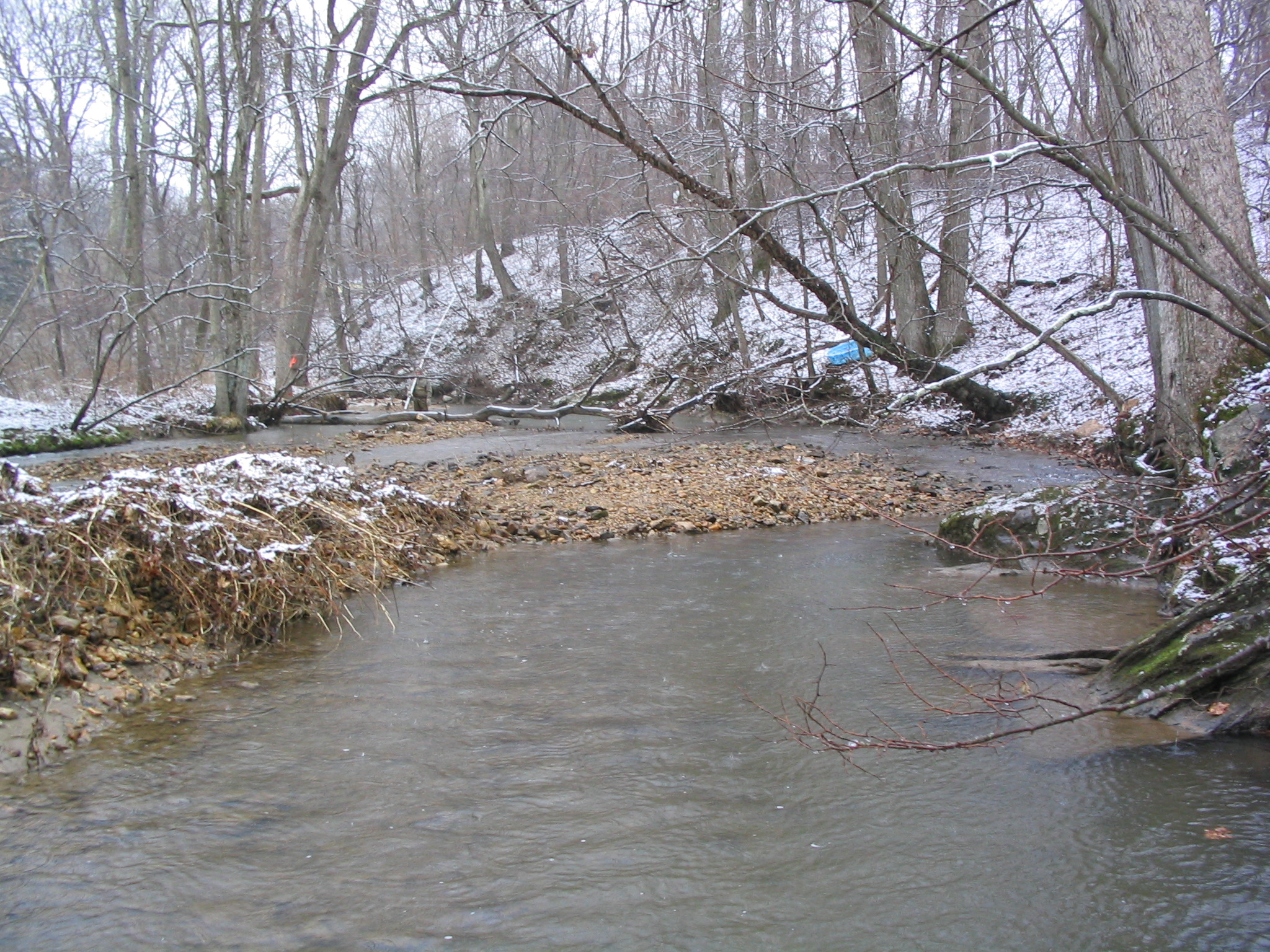 Field photo showing stream conditions at site ATKI-217-R-2004-6