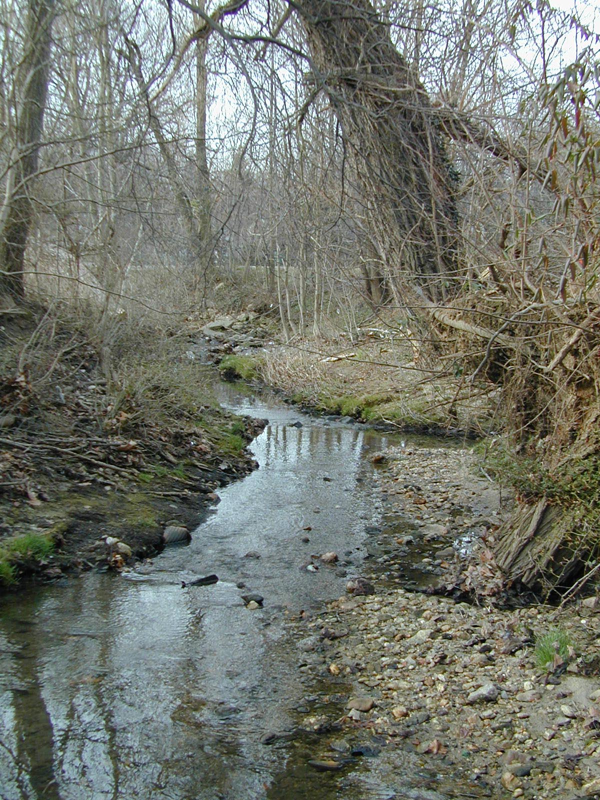 Field photo showing stream conditions at site BACK-101-R-2002-344