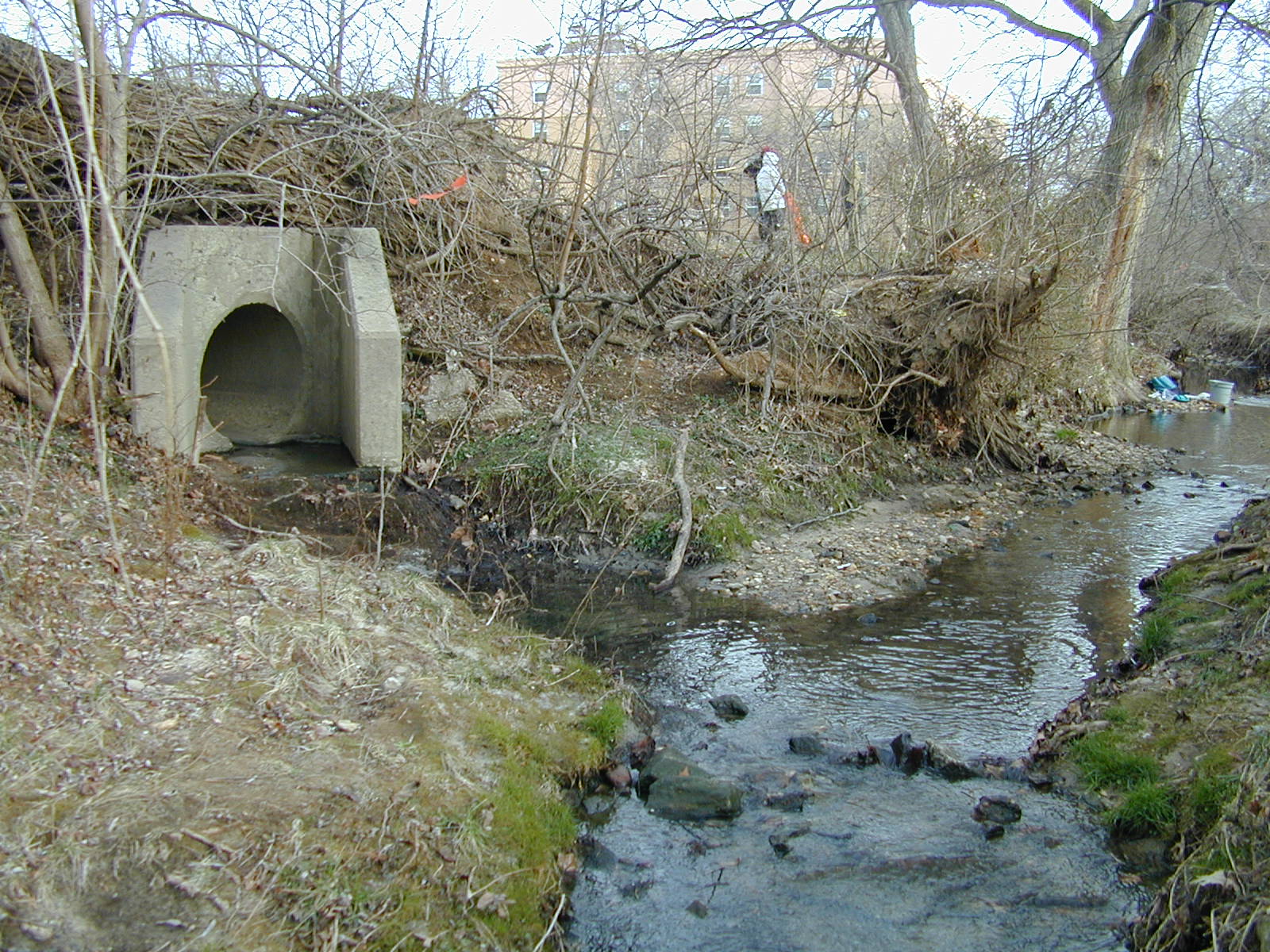 Field photo showing stream conditions at site BACK-101-R-2002-345
