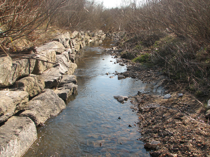 Field photo showing stream conditions at site BACK-102-B-2008-1