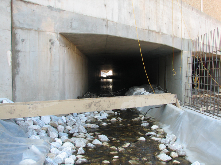 Field photo showing stream conditions at site BACK-102-B-2008-2