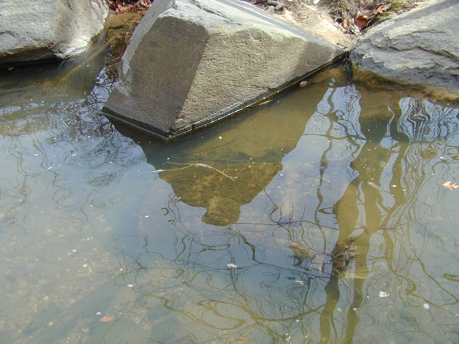 Field photo showing stream conditions at site BACK-105-R-2002-350