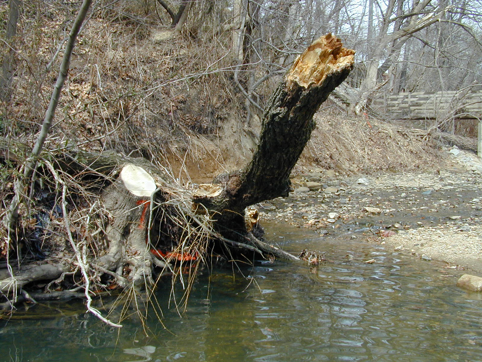 Field photo showing stream conditions at site BACK-105-R-2002-351