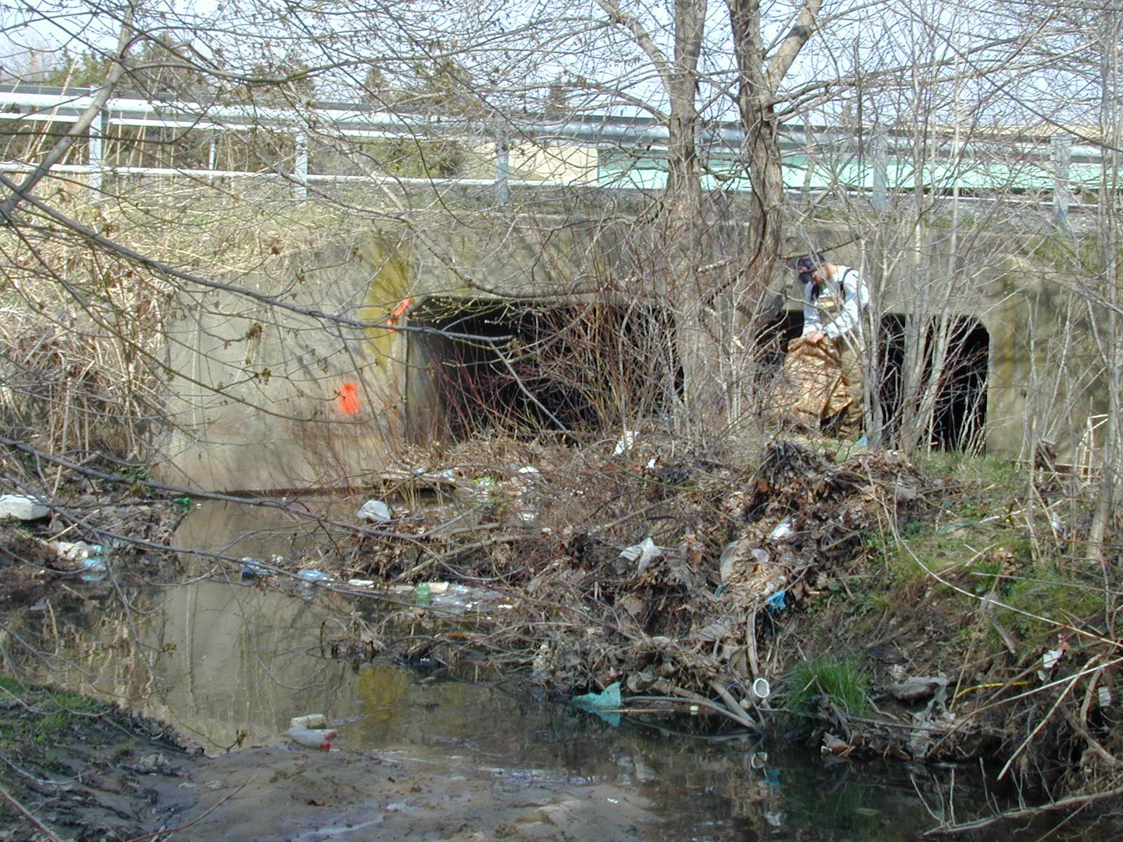 Field photo showing stream conditions at site BACK-108-R-2002-455