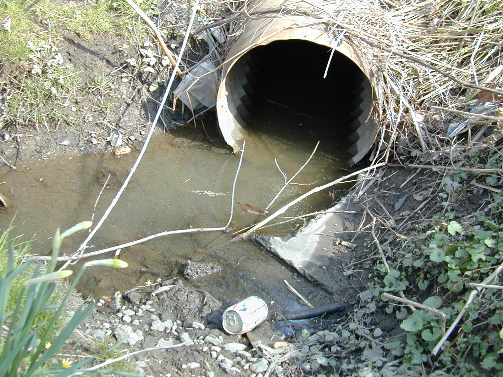 Field photo showing stream conditions at site BACK-108-R-2002-456