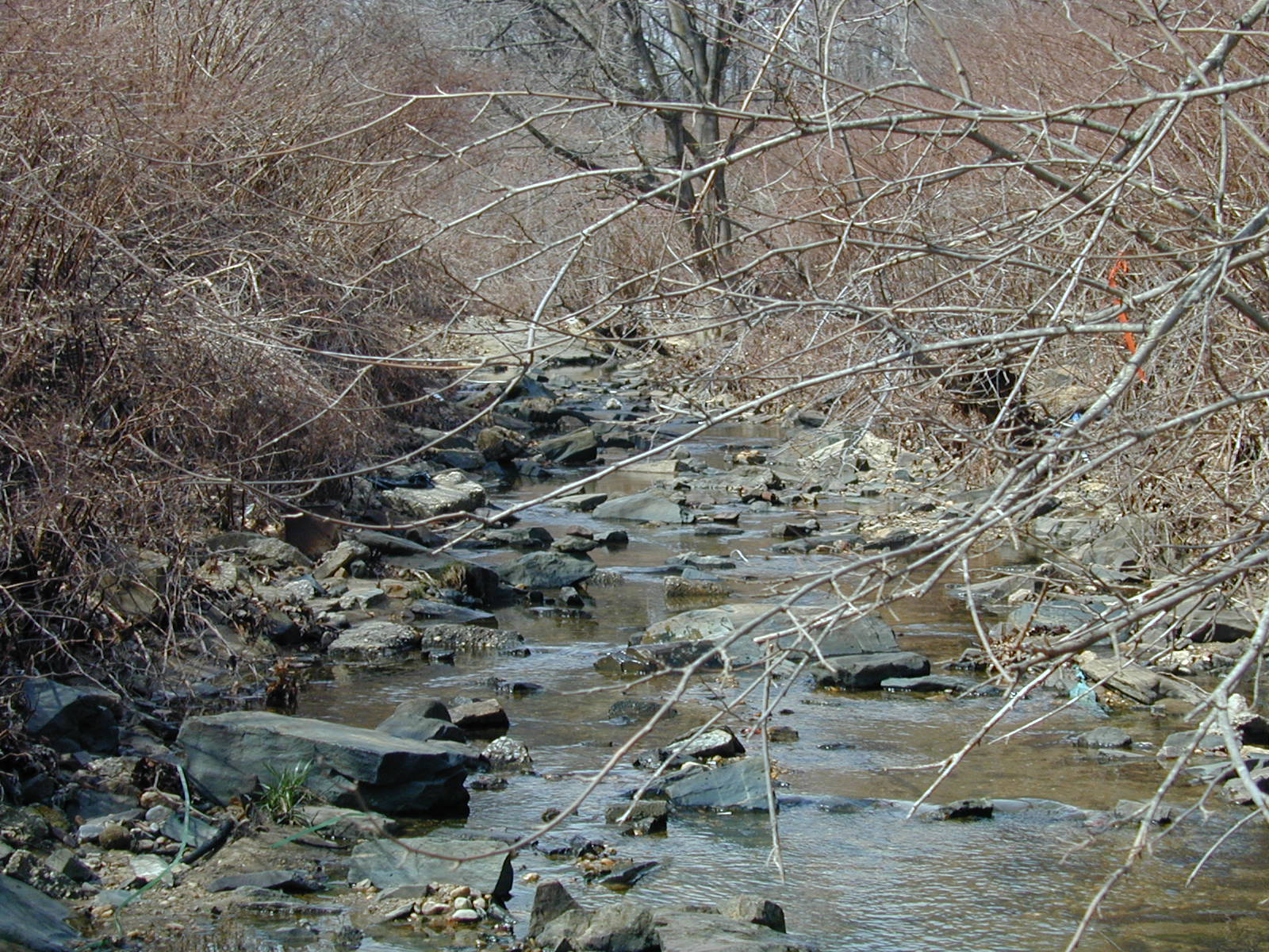 Field photo showing stream conditions at site BACK-110-R-2002-354