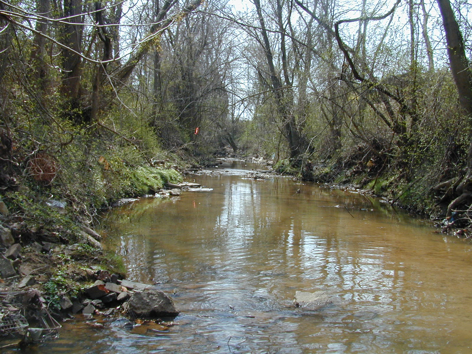 Field photo showing stream conditions at site BACK-111-R-2002-452