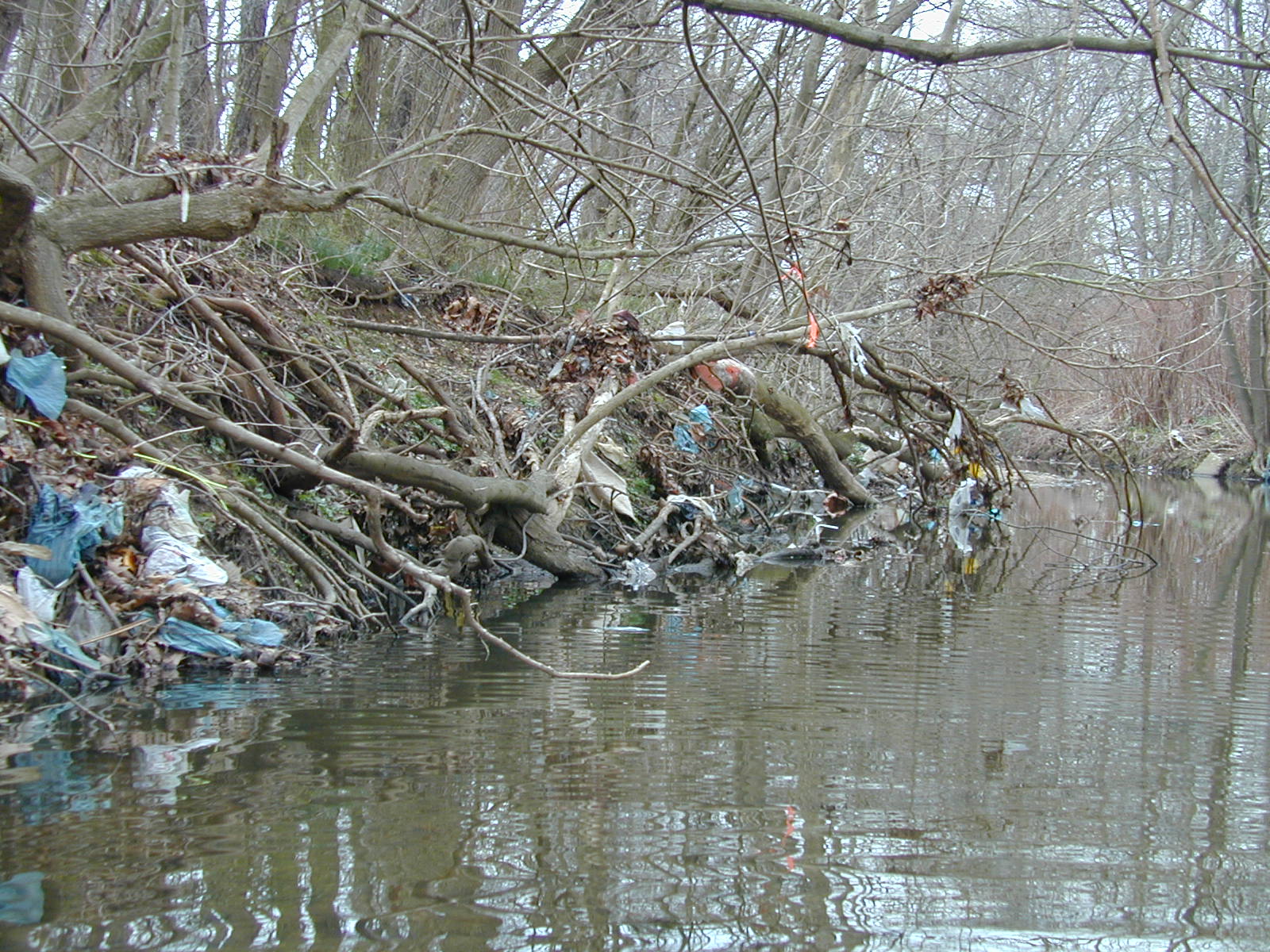 Field photo showing stream conditions at site BACK-112-R-2002-448