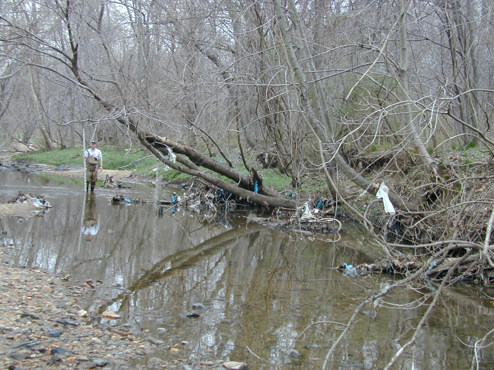 Field photo showing stream conditions at site BACK-112-R-2002-449