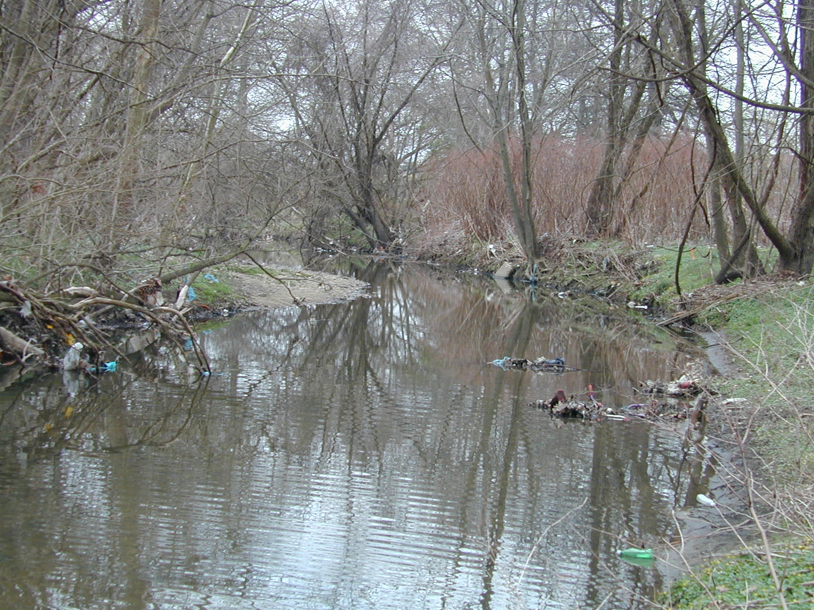Field photo showing stream conditions at site BACK-112-R-2002-450