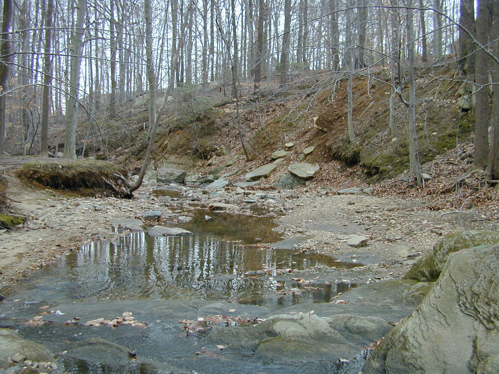Field photo showing stream conditions at site BACK-113-R-2002-346
