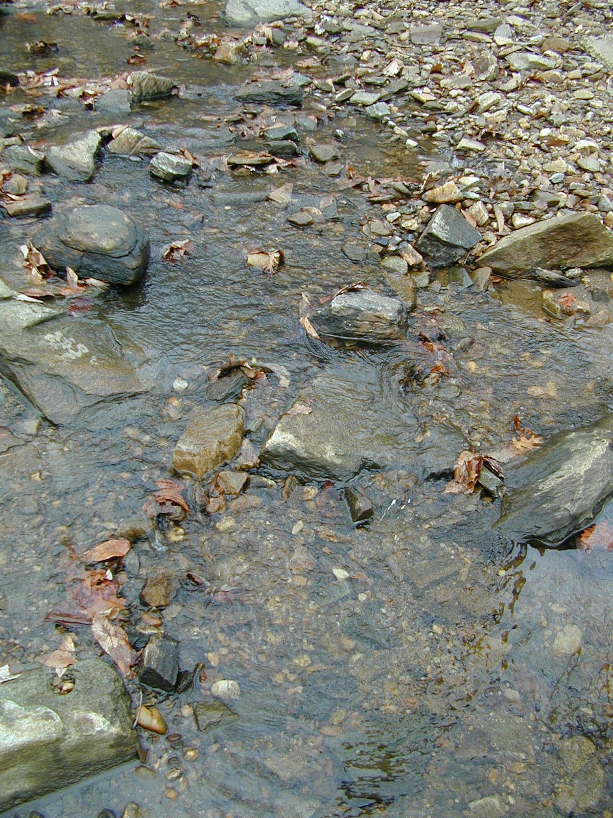 Field photo showing stream conditions at site BACK-113-R-2002-347