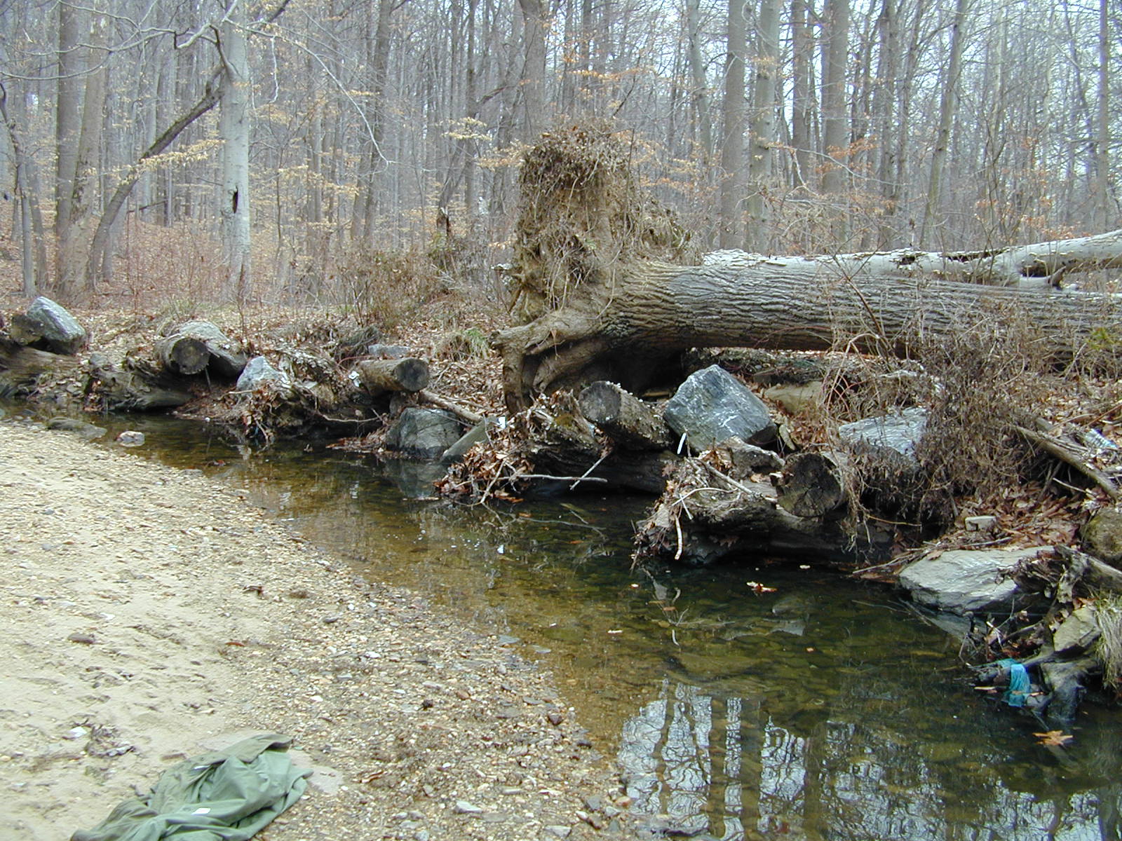 Field photo showing stream conditions at site BACK-113-R-2002-348