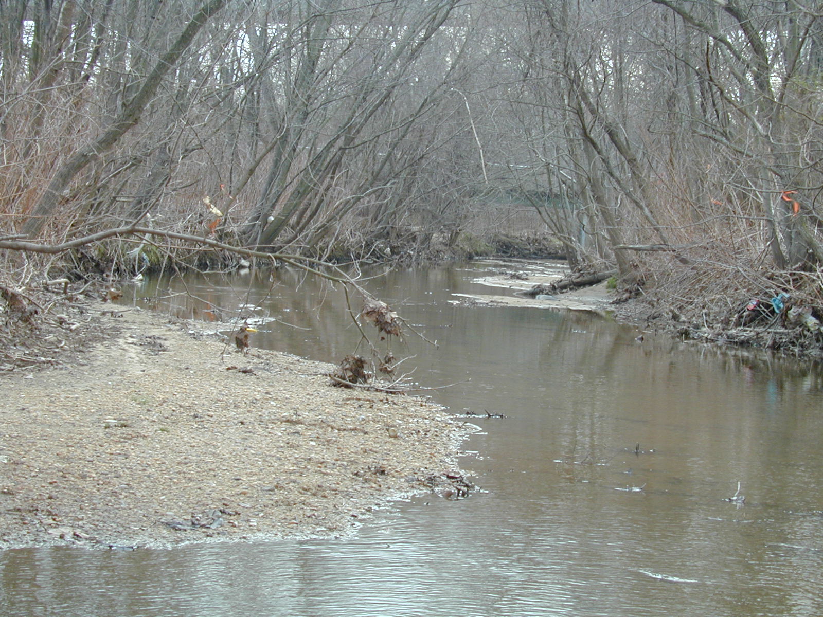 Field photo showing stream conditions at site BACK-203-R-2002-457
