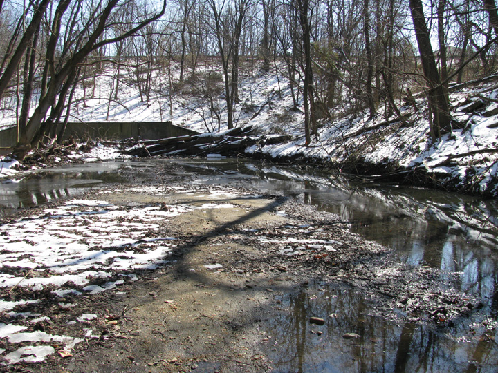 Field photo showing stream conditions at site BACK-205-R-2009-1