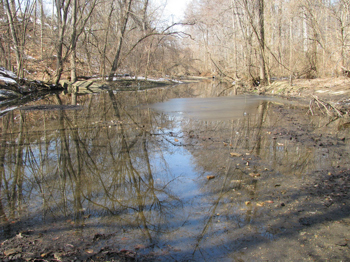 Field photo showing stream conditions at site BACK-205-R-2009-2