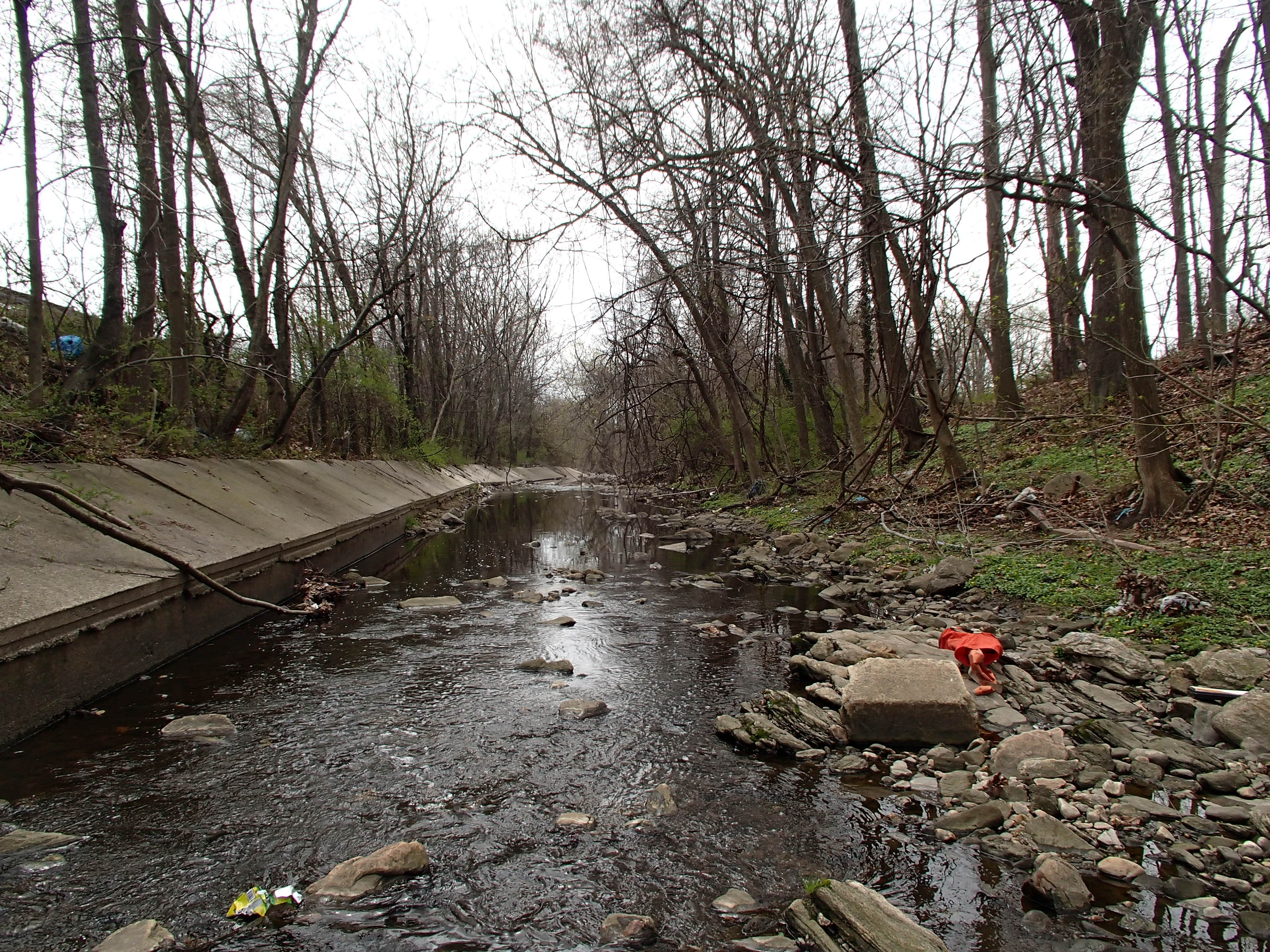 Field photo showing stream conditions at site BACK-205-R-2015_Midpoint-looking-downstream