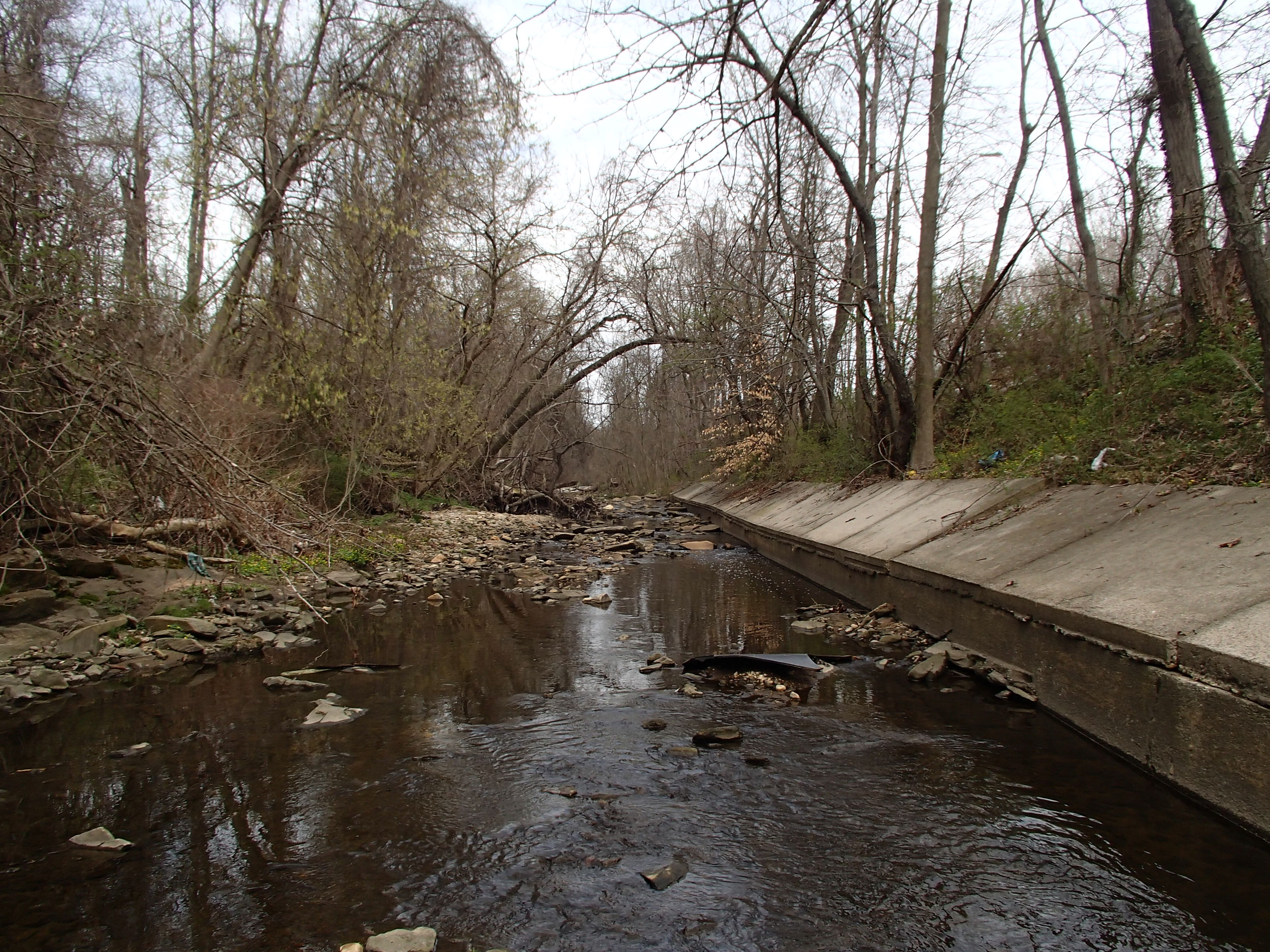 Field photo showing stream conditions at site BACK-205-R-2015_Midpoint-looking-upstream