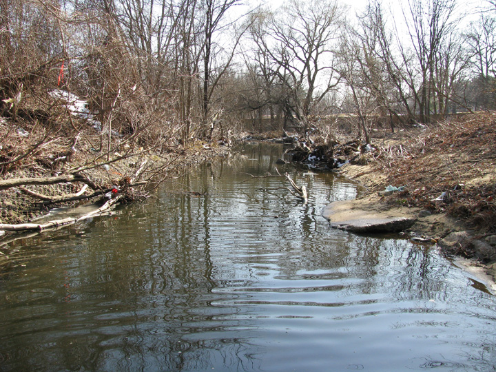 Field photo showing stream conditions at site BACK-206-R-2009-1