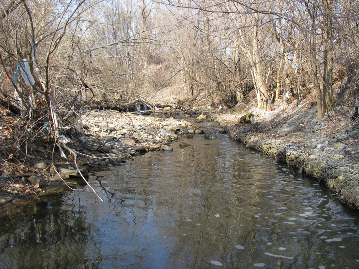 Field photo showing stream conditions at site BACK-206-R-2009-2