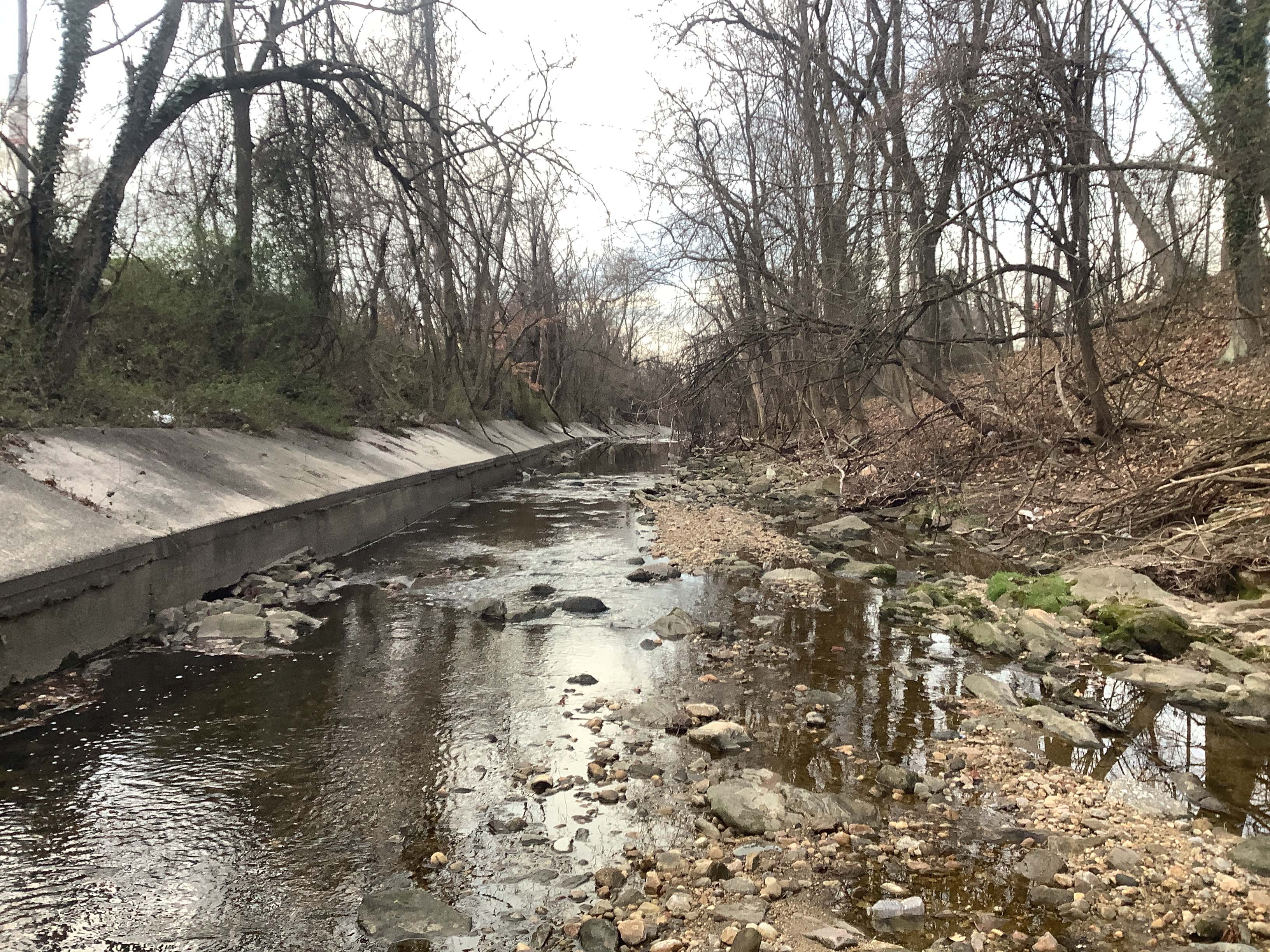 Field photo showing stream conditions at site BACK-221-R-2023_Midpoint_facing_downstream