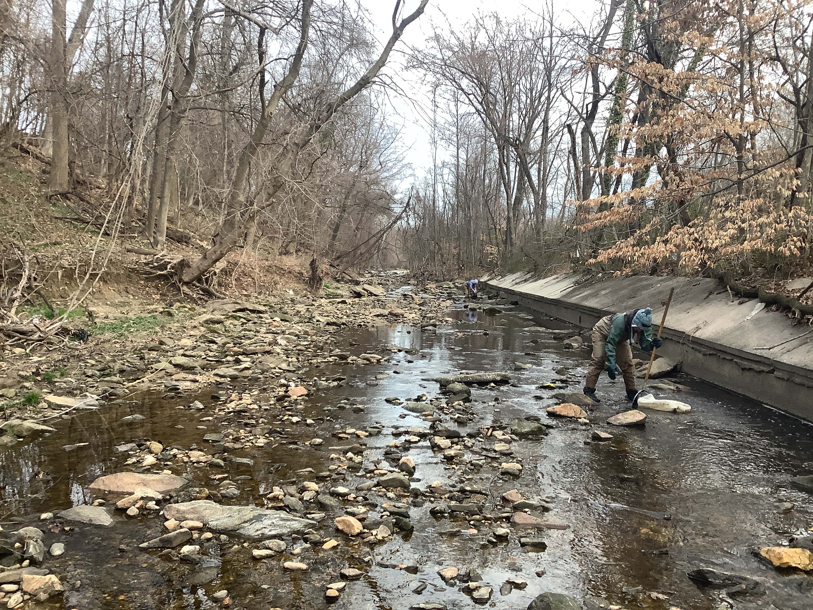 Field photo showing stream conditions at site BACK-221-R-2023_Midpoint_facing_upstream