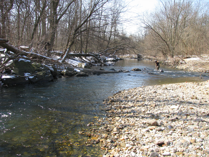 Field photo showing stream conditions at site BACK-301-R-2009-1
