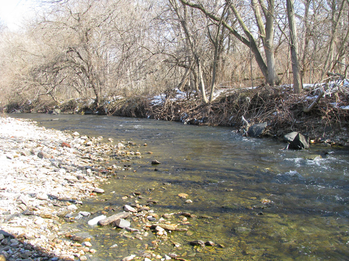 Field photo showing stream conditions at site BACK-301-R-2009-2