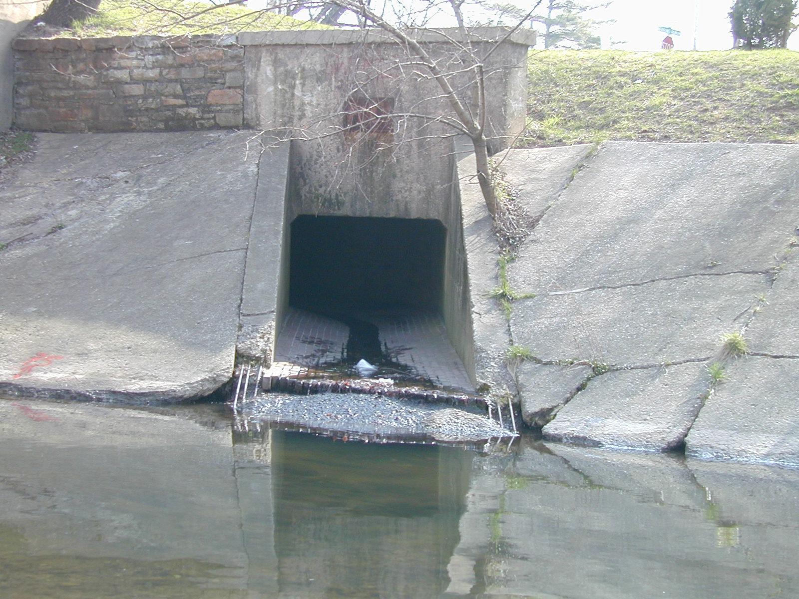 Field photo showing stream conditions at site BACK-302-R-2002-446