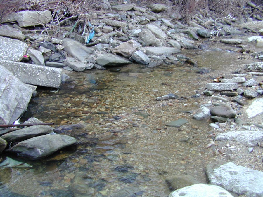 Field photo showing stream conditions at site BACK-306-R-2002-360