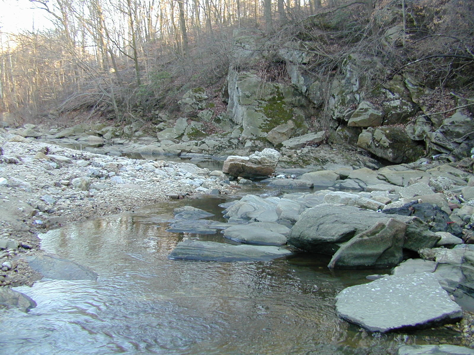 Field photo showing stream conditions at site BACK-306-R-2002-361
