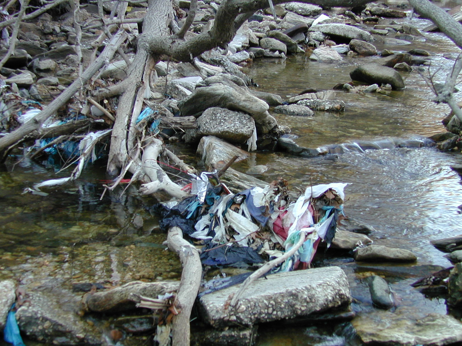 Field photo showing stream conditions at site BACK-306-R-2002-362
