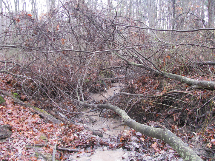 Field photo showing stream conditions at site BALT-101-R-2009-1