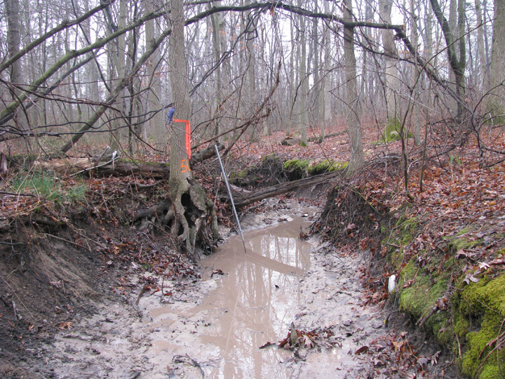 Field photo showing stream conditions at site BALT-101-R-2009-2