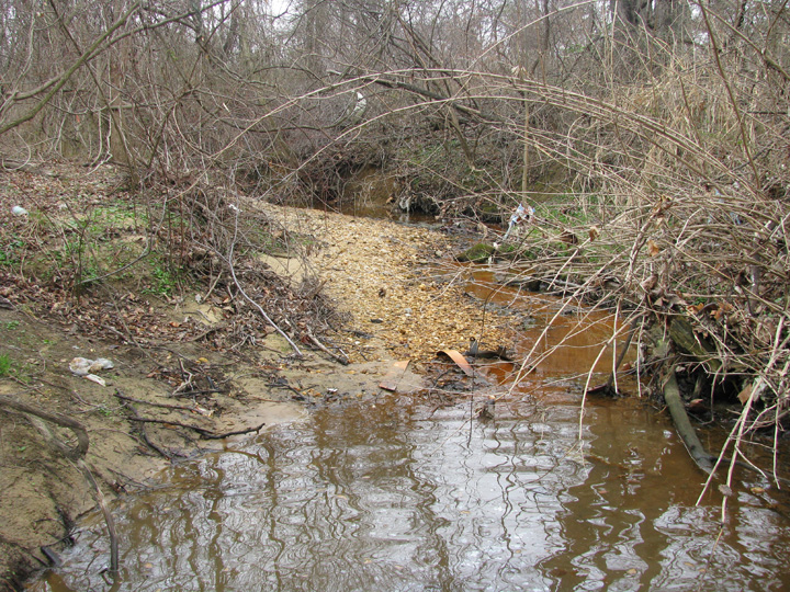 Field photo showing stream conditions at site BALT-102-R-2009-2