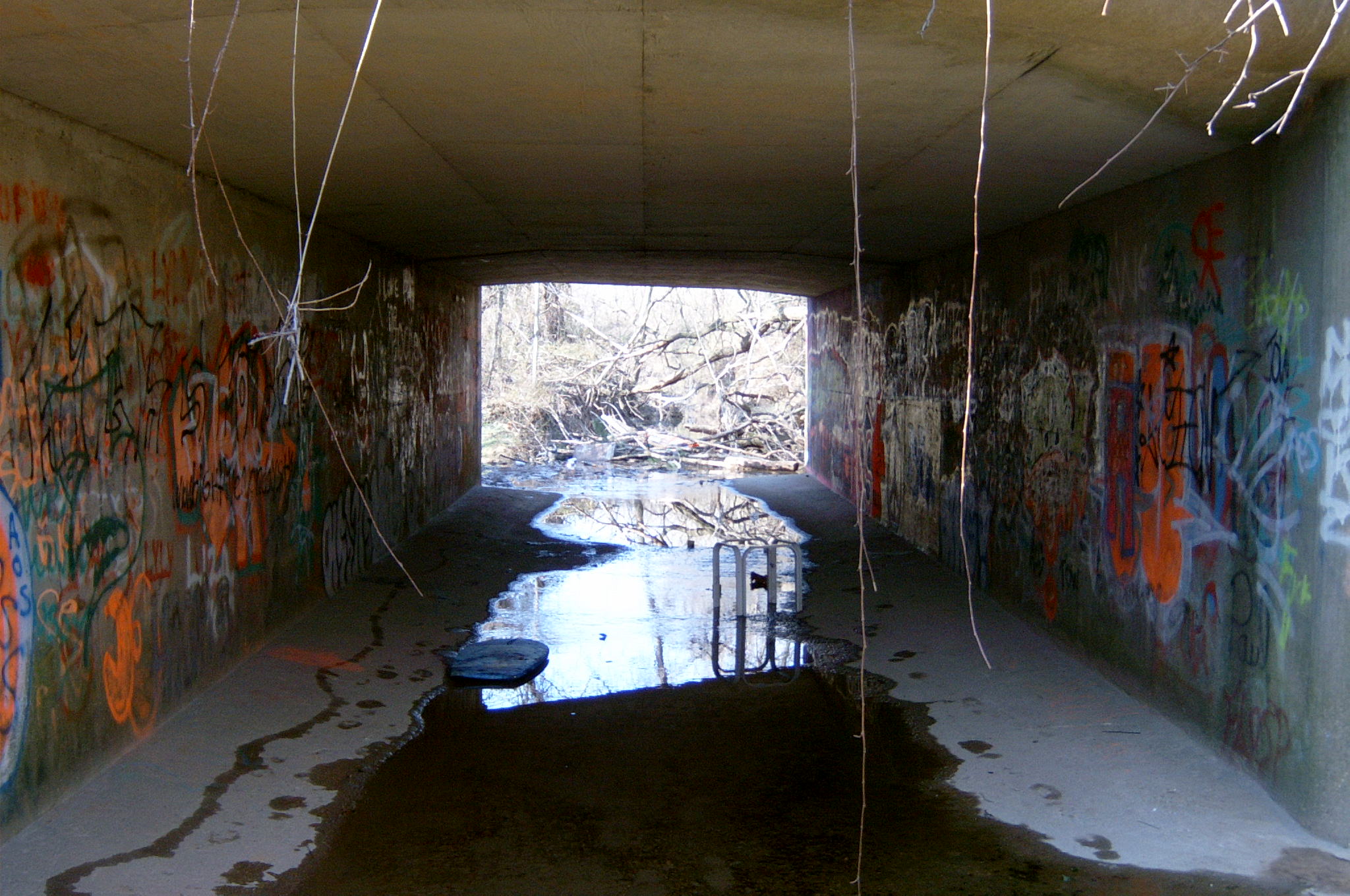 Field photo showing stream conditions at site BALT-103-R-2004-87