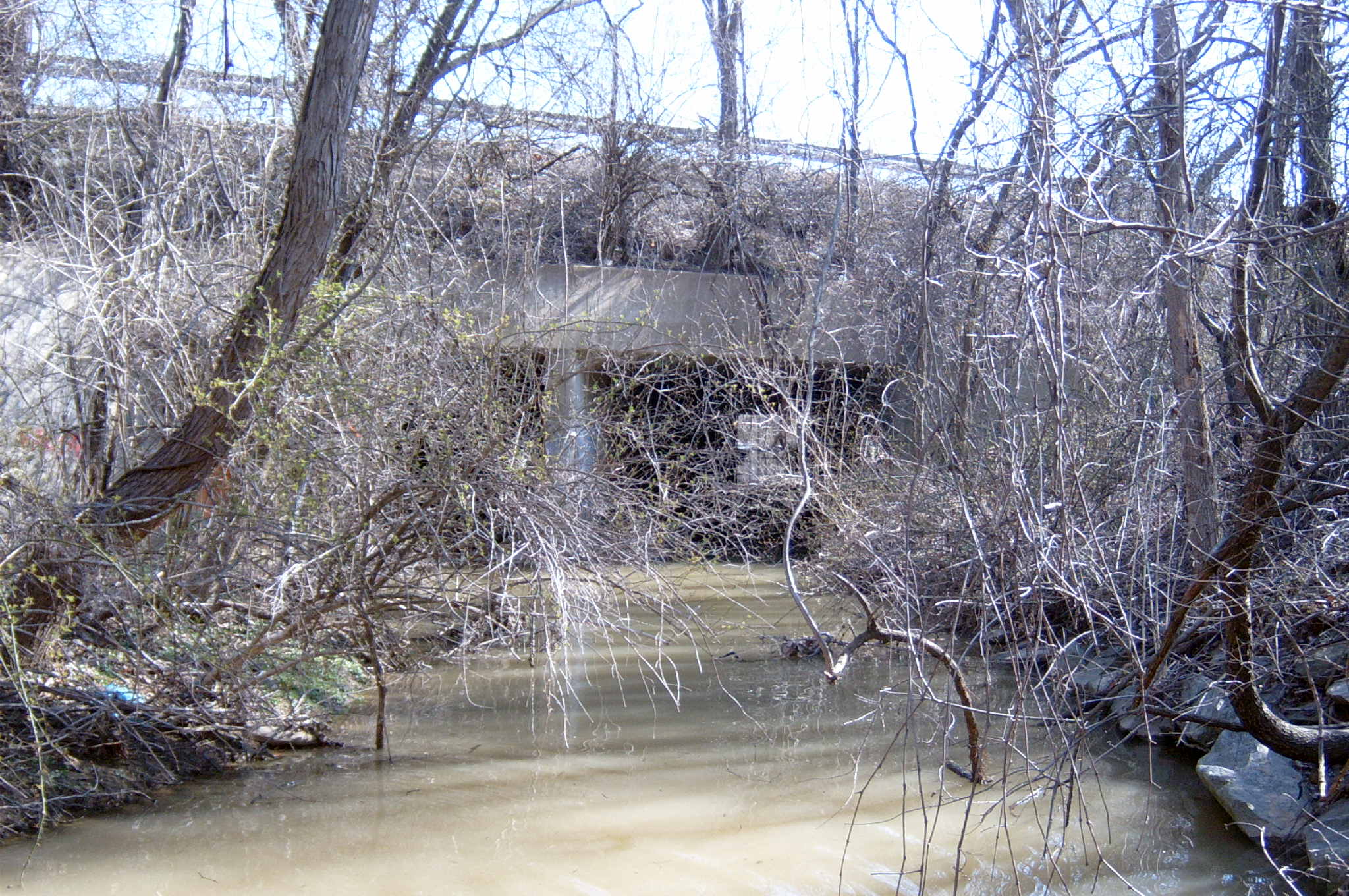 Field photo showing stream conditions at site BALT-103-R-2004-88