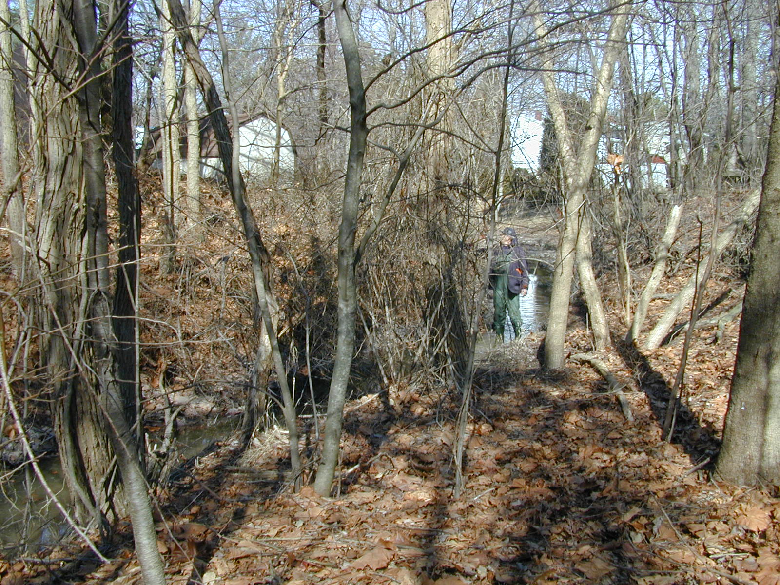 Field photo showing stream conditions at site BALT-104-R-2001-1