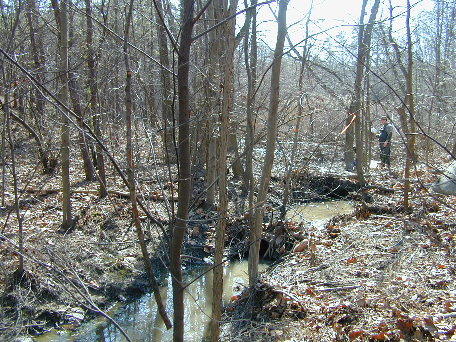 Field photo showing stream conditions at site BALT-104-R-2001-2