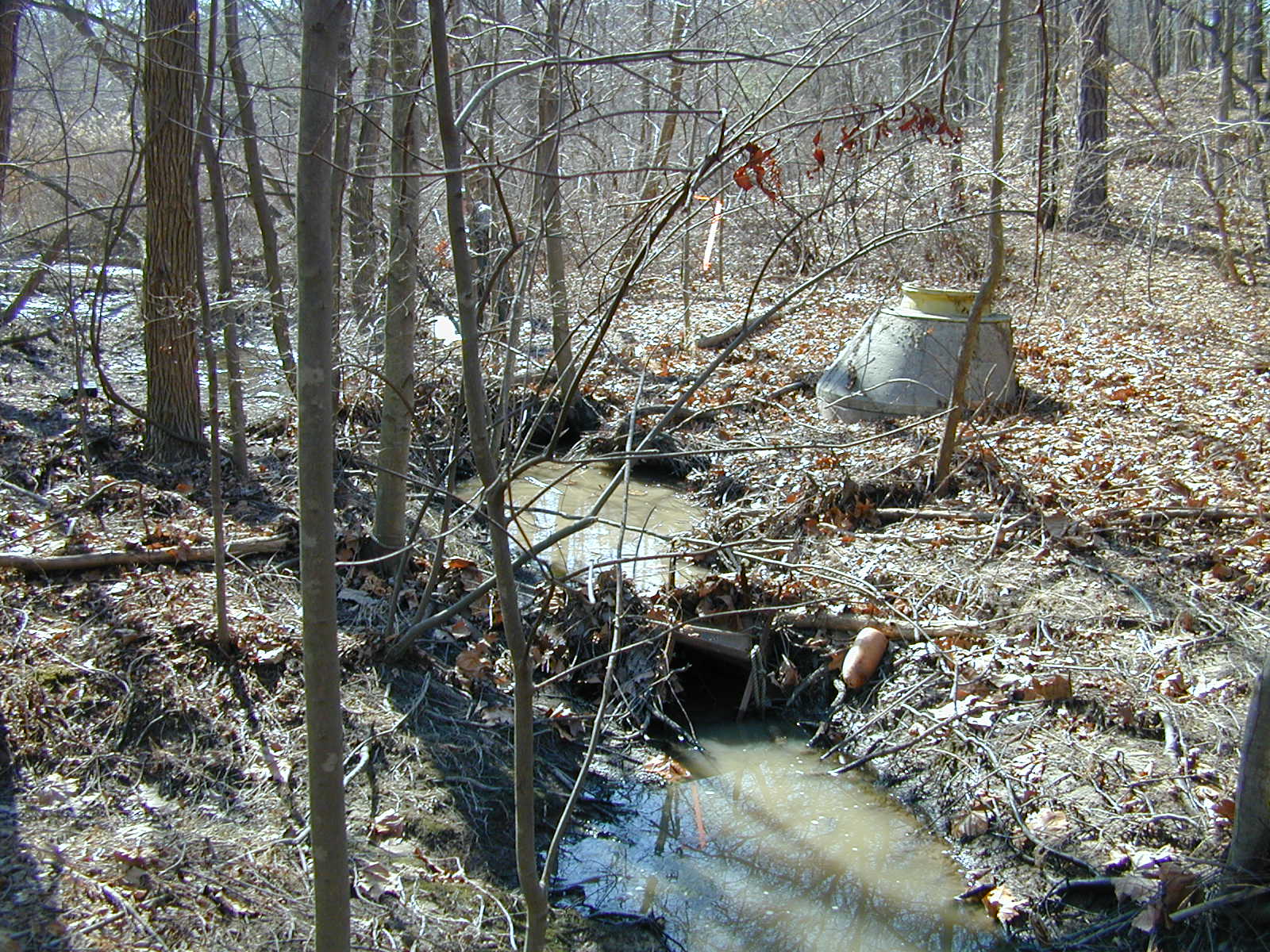 Field photo showing stream conditions at site BALT-104-R-2001-3