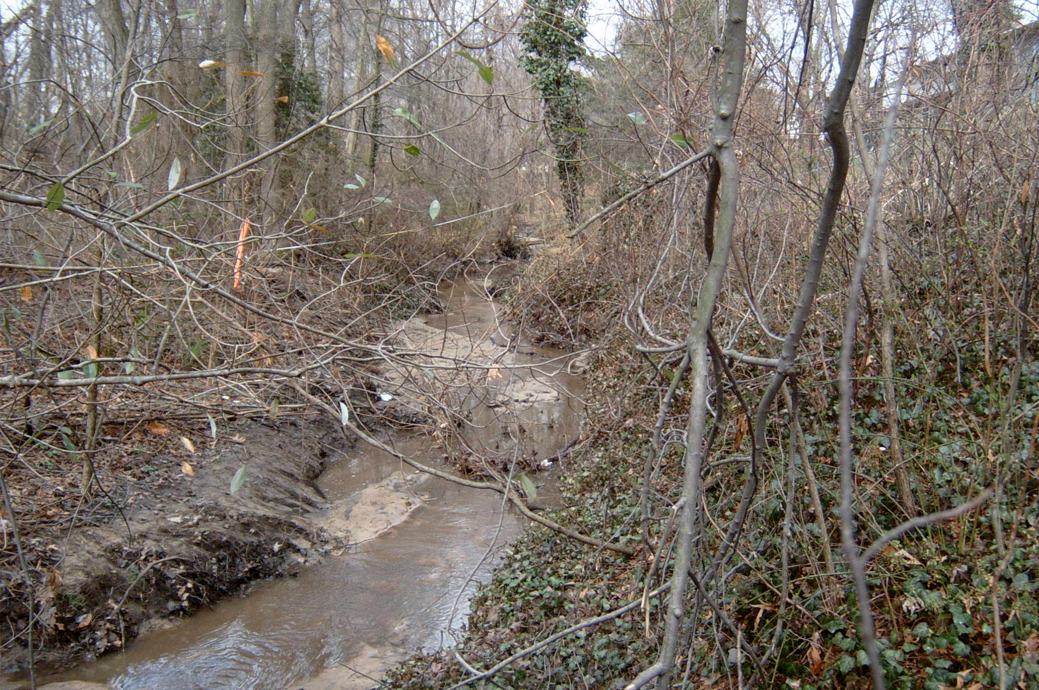Field photo showing stream conditions at site BALT-106-R-2004-75