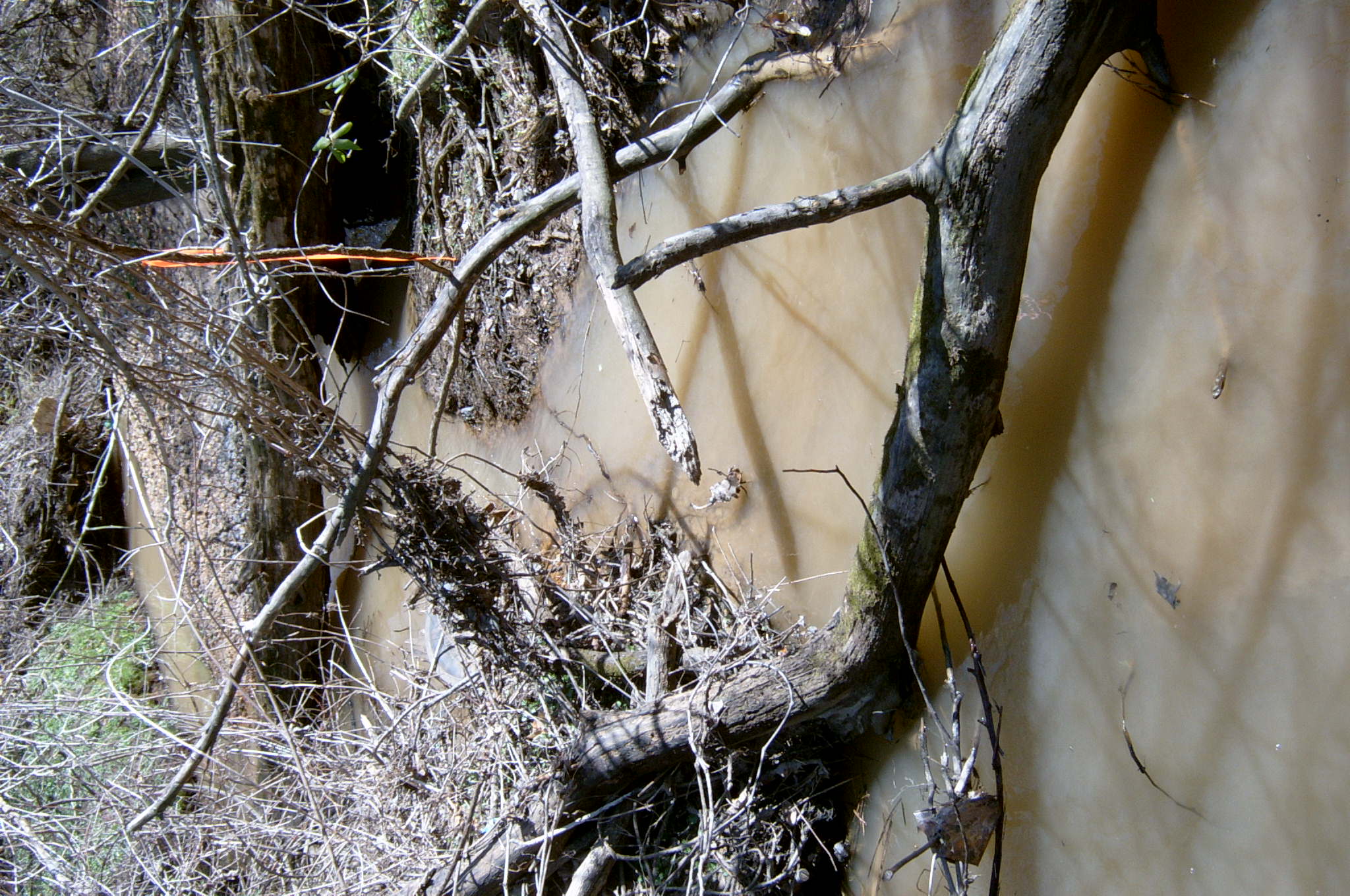 Field photo showing stream conditions at site BALT-108-R-2004-90