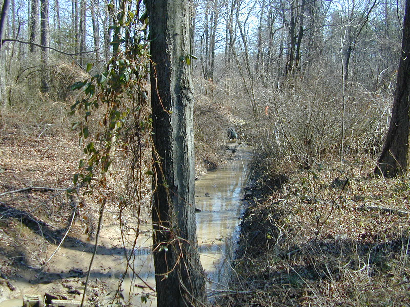 Field photo showing stream conditions at site BALT-110-R-2001-1