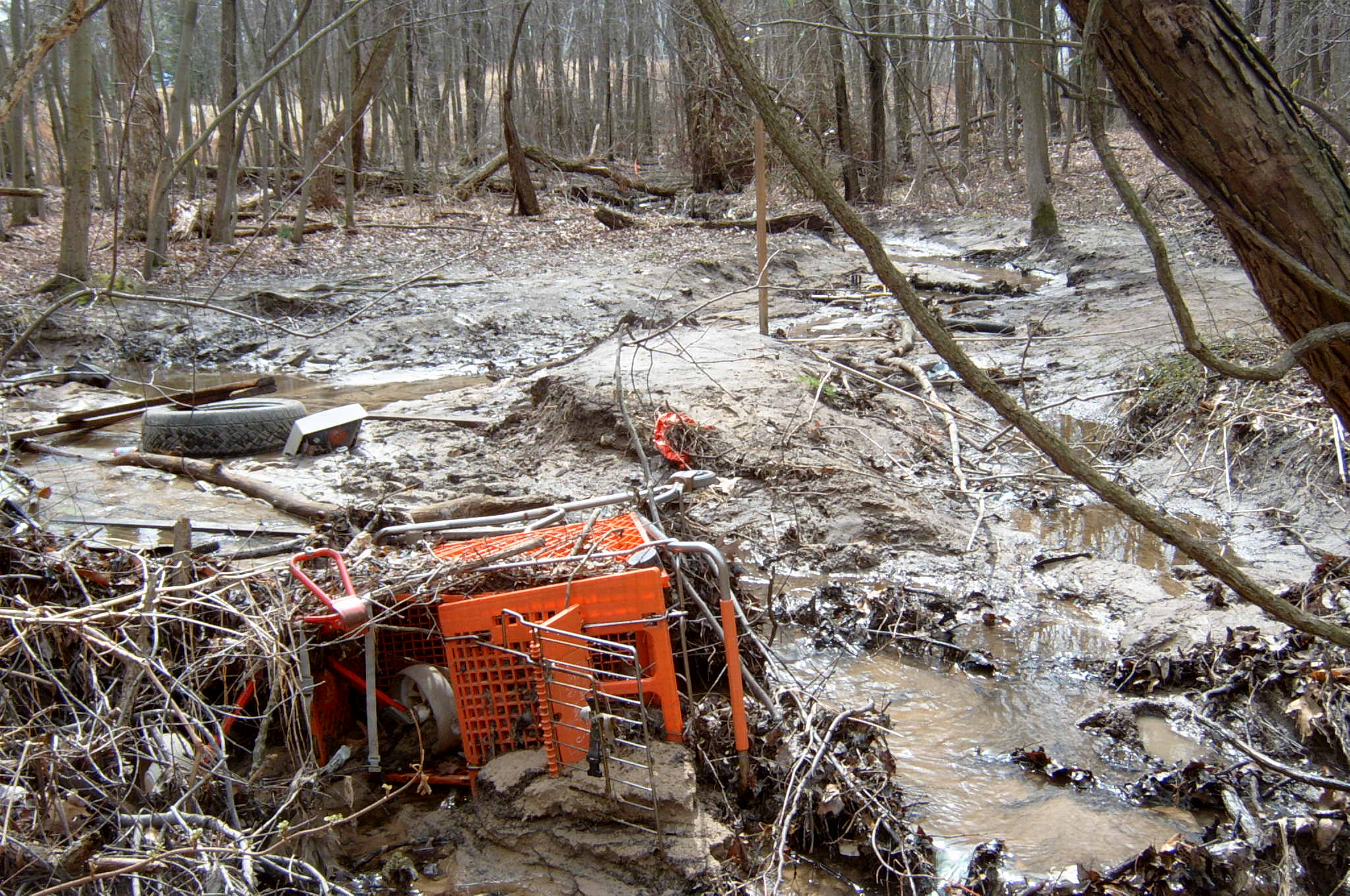 Field photo showing stream conditions at site BALT-112-R-2004-76