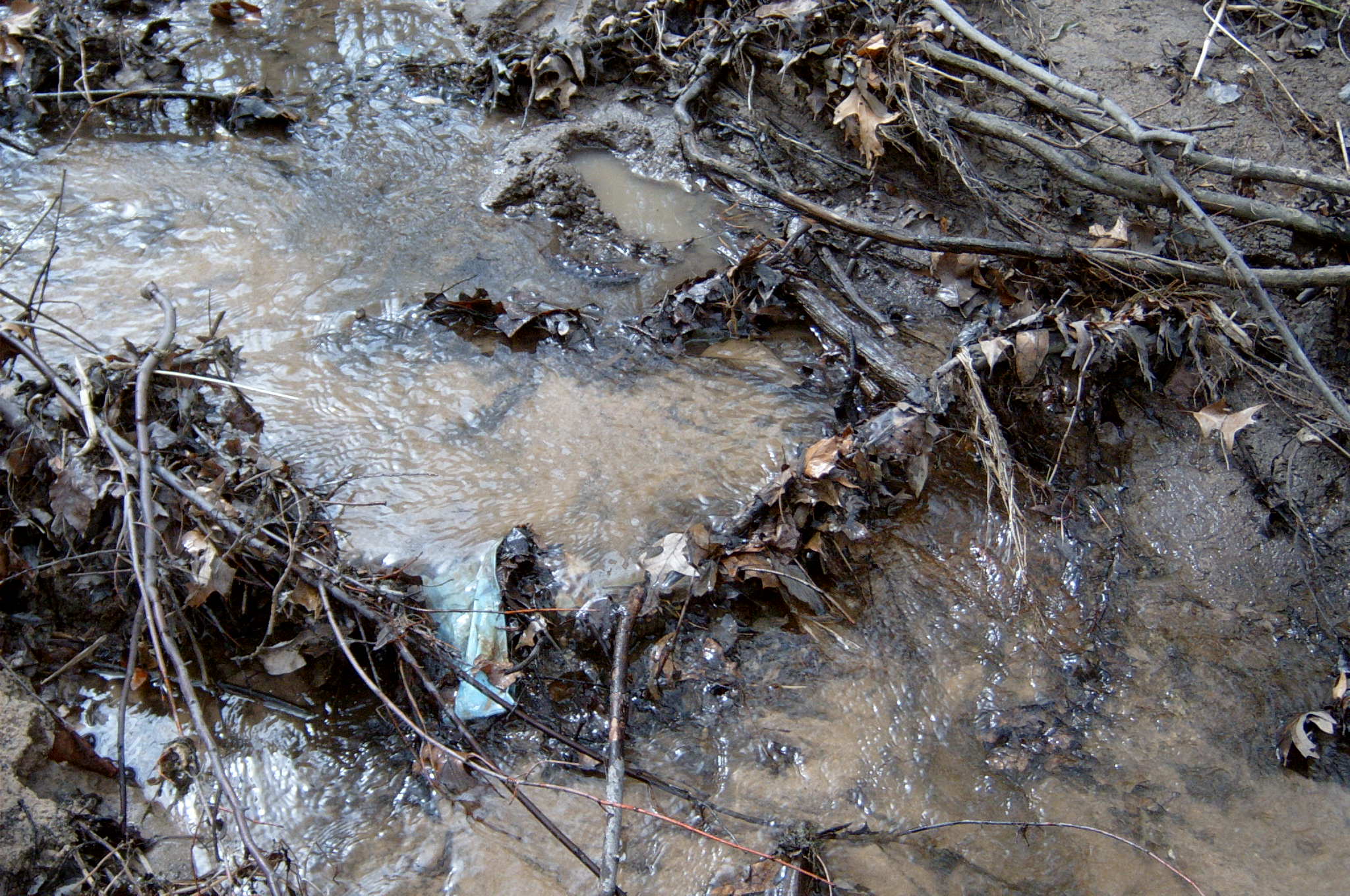 Field photo showing stream conditions at site BALT-112-R-2004-77